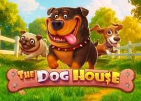 Köpek Kulübesi